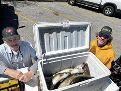 Walleye on – hold on tight!